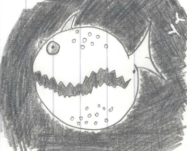 belly fish