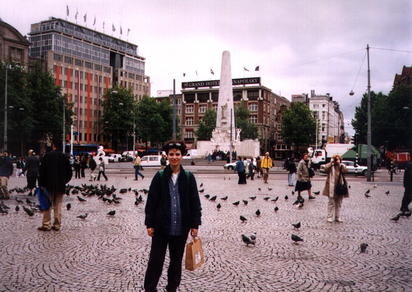 dam pigeons