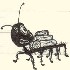 an ant