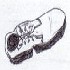 a shoe