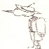 pinnoccio