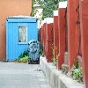tiny blues